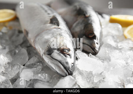 Leckere rohe Makrele Fisch auf Eis Stockfoto
