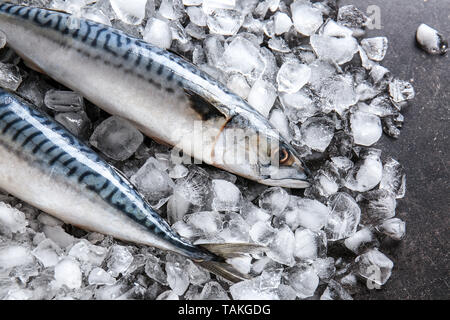 Leckere rohe Makrele Fisch mit Eis auf Tabelle Stockfoto