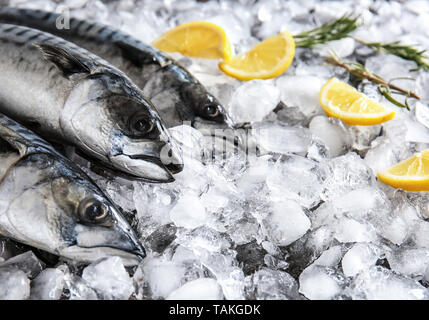 Leckere rohe Makrele Fisch mit Zitrone auf Eis Stockfoto