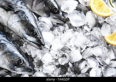 Leckere rohe Makrele Fisch auf Eis Stockfoto