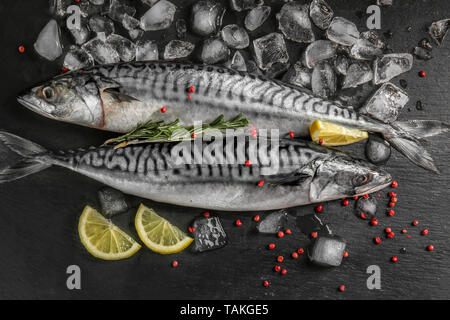 Leckere rohe Makrele Fisch mit Eis und Gewürzen auf dunklem Hintergrund Stockfoto