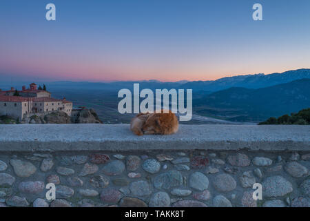 Ein einsamer, einsamen Hund schläft auf einer Steinmauer oberhalb von St. Nikolaus Kloster in Meteora. Geknuddelt, freundlich, schlafenden Hund bei Sonnenuntergang in Griechenland. Stockfoto