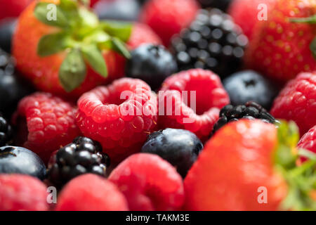 Full Frame kurz mit verschiedenen Beeren Erdbeere Heidelbeere Himbeere Blackberry Stockfoto