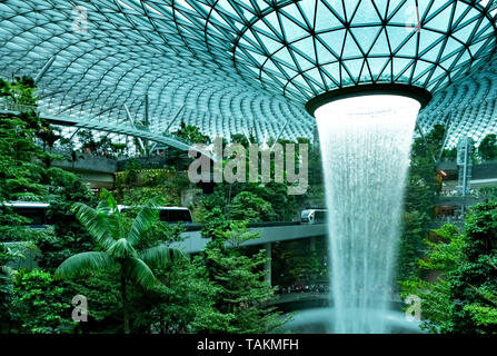 Regen Wirbel, der weltweit höchsten Wasserfall bei Juwel Changi Airport. Grünen Wald in der Mall und dem Skytrain. Wahrzeichen Reiseziele in Singen Stockfoto