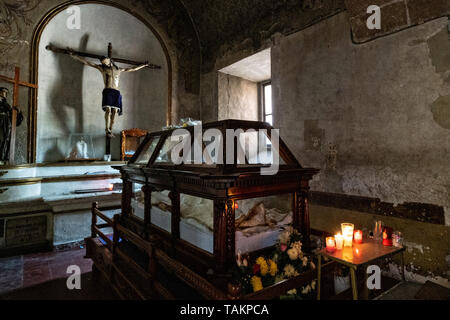 Innenraum des San Nicolas Tolentino Tempel und Ex-Monastery in Actopan, Hidalgo, Mexiko. Die kolonialen Kirche und Kloster wurde im Jahre 1546 erbaut und architektonische Elemente aus der Romantik, Gotik und Renaissance kombinieren. Stockfoto