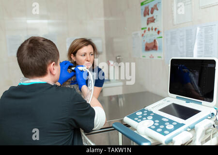 Tierärzte haben ein ultraschallbild von verletzten Auge des Hundes in einem Veterinär. Animal Health Care Concept Stockfoto