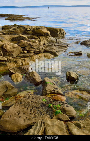 Eine vertikale Landschaft einer felsigen Ufer entlang der Küste von Vancouver Island auf der Straße von Georgia in British Columbia Kanada Stockfoto