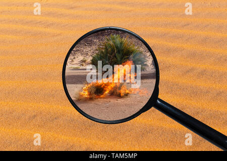 Trockene brennende Gras in die Wüste Sahara, Blick durch eine Lupe vor dem Hintergrund von Sand Stockfoto