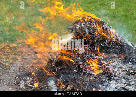 Einen großen Haufen von brennenden Zweige und Blätter mit Rauch. Stockfoto