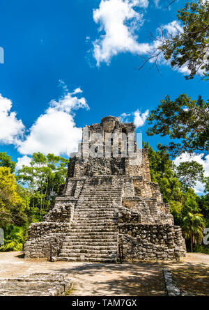 Alte Maya-pyramide in Muyil in Quintana Roo, Mexiko Stockfoto