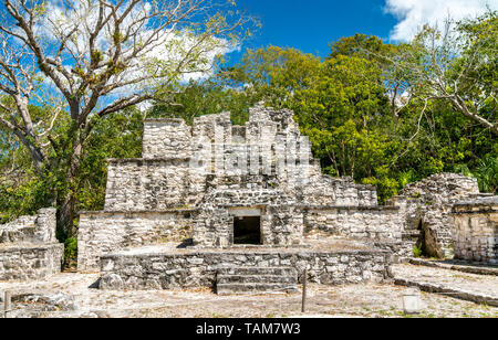 Alte Maya-pyramide in Muyil in Quintana Roo, Mexiko Stockfoto