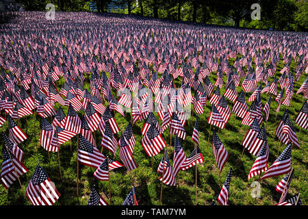 Amerikanische Fahnen auf Anzeige für Veteranen. Stockfoto
