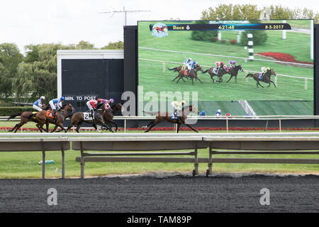 Pferde und Jockeys racing Um die Ziellinie am Arlington Internationale Rennbahn mit einem Bildschirm im Hintergrund. Stockfoto