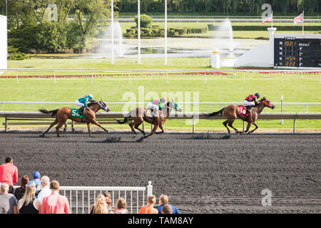 Pferde und Jockeys racing Um die Ziellinie am Arlington Internationale Rennbahn. Stockfoto