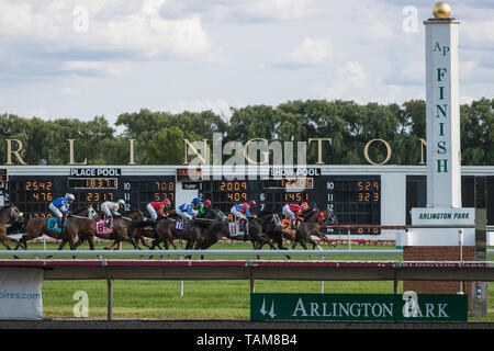 Pferde und Jockeys racing Um die Ziellinie am Arlington Internationale Rennbahn. Stockfoto