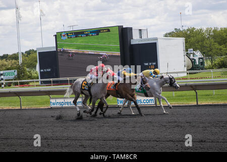 Pferde und Jockeys racing Um die Ziellinie am Arlington Internationale Rennbahn. Stockfoto