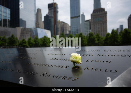 Eine weiße Rose, die zwischen eingravierten Namen am 11.-September-Memorial im World Trade Center, New York City, USA, platziert ist. Stockfoto