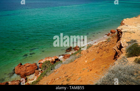 SkipJack Point ist in Francois Nationalpark Westaustralien. Farben der Felsen sind toll Stockfoto