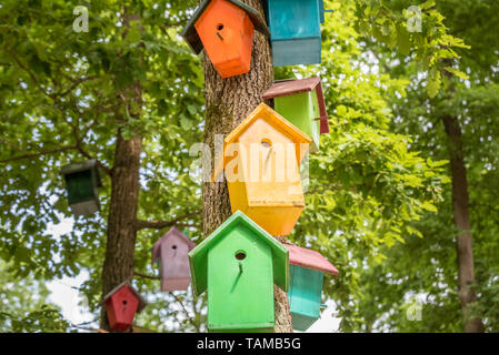 Synthetische bunte Nester hängen am Baum. Handgefertigte Holz Vogelhaus auf einen Baum für Vogel Schutz. Frühling Landschaft mit Vogel Nistkasten an einem Baum Stockfoto
