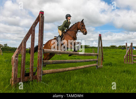 Midleton, Cork, Irland. 26 Mai, 2019. Emily Kate Robinson auf ihrer inter Working Hunter Bayview Hazel während ihres Umlaufes an der Midleton Landwirtschaft zeigen an Coppingerstown Co.Cork, Irland springen. Quelle: David Creedon/Alamy leben Nachrichten Stockfoto