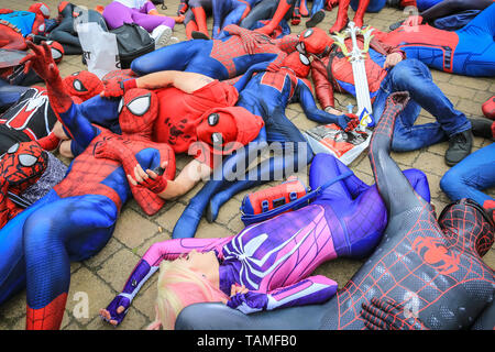 London, Großbritannien. Mai 2019. Spiderman-Gemetzel! Eine freundliche Gruppe von über dreißig Spidermen und Spiderfrauen aus einer Social-Media-Gruppe namens „Spider-verse“ posieren einen Sturm und haben Spaß an der Veranstaltung. Am dritten und letzten Tag der MCM Comic Con kommen wieder Tausende Cosplayer und Fans von Comics, Spielen, Sci Fi und Fantasy in fantastischen Kostümen und Outfits im Excel London zusammen, um ihre Lieblingsfiguren zu feiern. Kredit: Imageplotter/Alamy Live Nachrichten Stockfoto