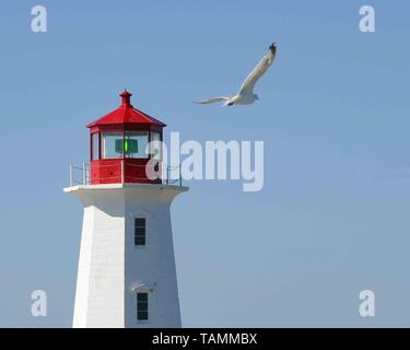 September 5, 2005 - Peggy's Cove, Halifax Regional Municipality, Kanada - eine Möwe fliegt in der Nähe von Peggy's Point ikonischen Leuchtturm (1868), eine wichtige touristische Attraktion auf dem felsigen Ostufer der St. Margarets Bay in Nova Scotias Halifax Regional Municipality. Credit: Arnold Drapkin/ZUMA Draht/Alamy leben Nachrichten Stockfoto