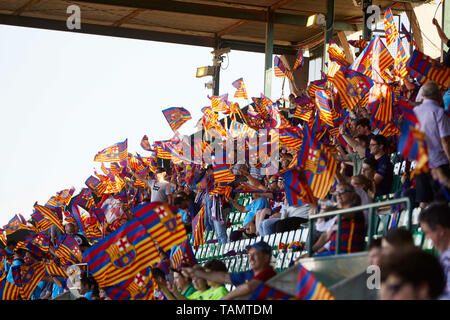 25. Mai 2019, Estadio Benito VillamarIn, Sevilla, Spanien: Copa del Rey Fußball Finale, FC Barcelona gegen Valencia, Barcelona Fans unterstützen ihre Mannschaft vor dem Spiel Stockfoto