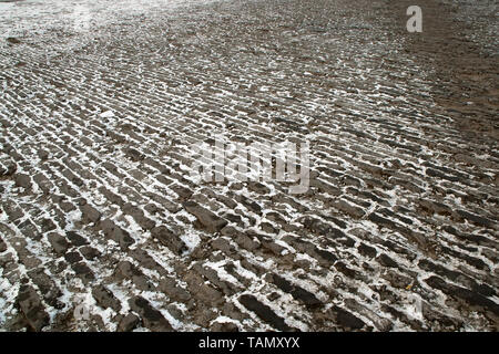 Peking, China, Verbotene Stadt kopfsteingepflasterten Innenhof im Winter Stockfoto