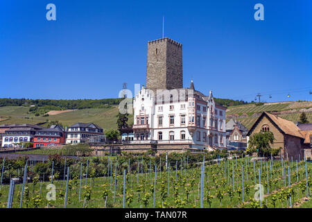 Schloss boosenburg Rüdesheim, Unesco Welterbe Oberes Mittelrheintal, Rheingau, Hessen, Deutschland Stockfoto