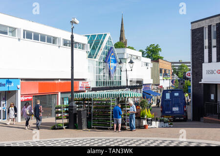 Blume in Somers Square, High Street, Halesowen, West Midlands, England, Vereinigtes Königreich Abschaltdruck Stockfoto