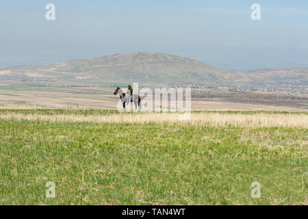 Ein modernes Herder auf seinem Pferd seinem Mobiltelefon, während sie seine Herde (Schafe) in der Nähe von Bischkek in die Steppen in Kirgisistan und Zentralasien Stockfoto
