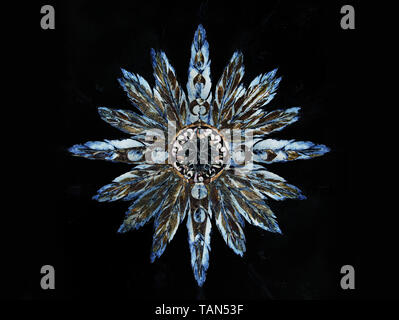 Dekorative Grafik in Form eines Sterns mit Federn Stockfoto