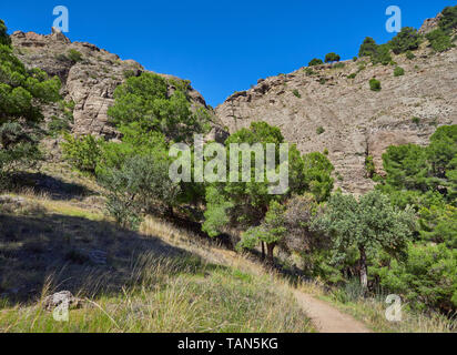 Der Sendero el Santo Fußweg wending seinen Weg bis der Hang zwischen den Bäumen in der Raja Ancha Freizeit Park. Pizarra, Spanien Stockfoto