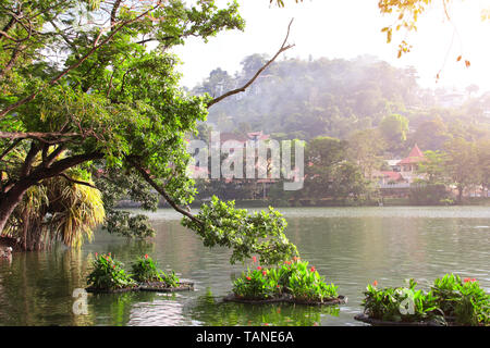 Kandy Lake in der Nähe von Sri Dalada Maligawa (Tempel des Zahns, der Tempel der Buddha Zahn), Kandy, Sri Lanka. Weltkulturerbe der UNESCO Stockfoto