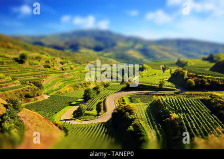 Kaiserstuhl ist ein Weinbaugebiet in Deutschland Stockfoto