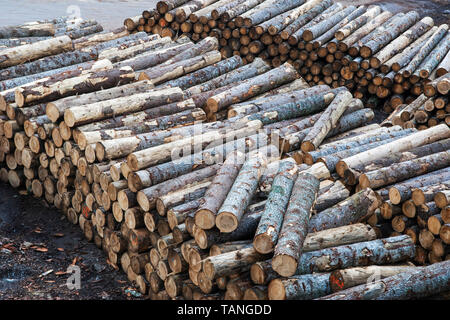 Stapel schneiden Bauholz Holz in einem Sägewerk für die weitere Verarbeitung. Stockfoto