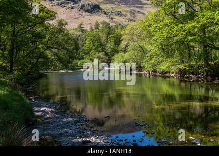 Fluss Derwent, die durch niedrige Ho Holz in der Nähe von Grange-in-Borrowdale Stockfoto