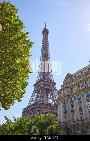 PARIS, Frankreich, 21. JULI 2017: Eiffelturm, Paris Gebäude und Grüner Baum in einem sonnigen Sommertag, Clear blue sky Stockfoto