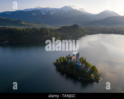 Sunrise Luftaufnahme von St Marys Kirche auf der Insel des Sees Bled, Slowenien. Im Hintergrund Es ist die Burg auf den Felsen und Berge in der Ferne in der frühen su Bled Stockfoto