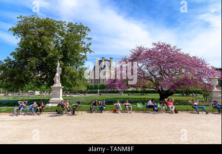 Menschen entspannen in Stühle in den Tuilerien an einem sonnigen Frühlingstag mit einem Flügel der Louvre im Hintergrund Stockfoto