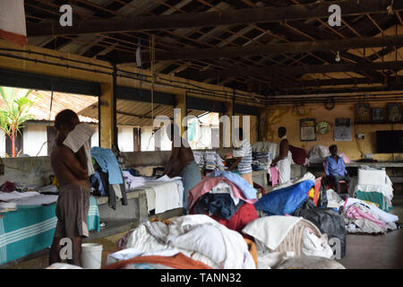 Dhobi Kana Wäscheservice, Cochin, Kerala, Indien Stockfoto