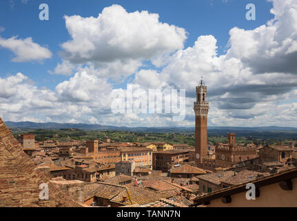 Blick auf die Pubblico Palace Tower und die Dächer vom Dach des Duomo di Siena, Siena, Provinz Siena, Toskana, Italien, Europa Stockfoto