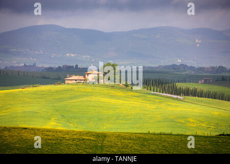 Typische toskanische Bauernhaus mit Zypressen und Landschaft, Radi, Provinz Siena, Toskana, Italien, Europa Stockfoto