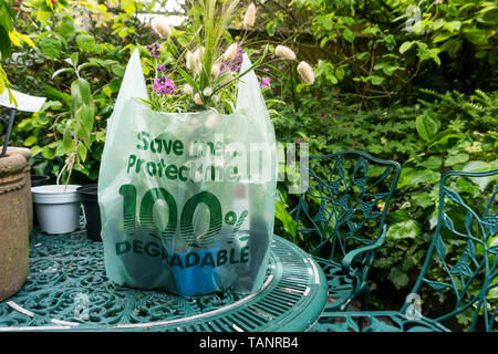 Pflanzen aus einem Gartencenter in einer biologisch abbaubaren und recycelbaren Plastikbeutel. Stockfoto