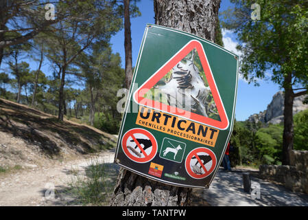 Warnzeichen für Wanderer über Pine Processional Raupen oder Larven Nester, eine potenzielle Gesundheitsgefahr aufgrund ihrer irritierenden Haare Provence Stockfoto