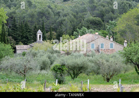 Abtei Sainte-Marie de Pierredon, ehemalige Abtei, gegründet 1205, & Wine Estate oder Domaine, in der Nähe von Saint-Rémy-de-Provence in den Alpillen Provence Stockfoto