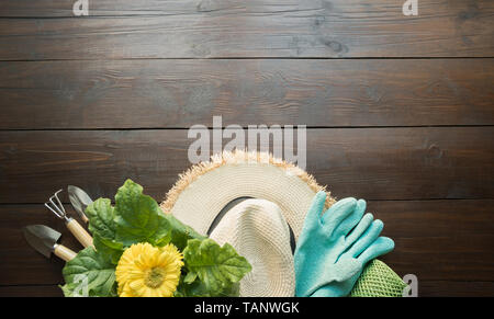 Gartengeräte, Blumen, Handschuhe und die Böden, auf Holzbrett. Die Feder und die Arbeit im Garten. Ansicht von oben. Platz für Text. Stockfoto