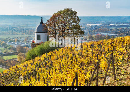 Der Weinberg Jacobstein ist ein Pavillon in Radebeul. Es war im Jahre 1742, Radebeul, Sachsen, Deutschland, Europa Stockfoto