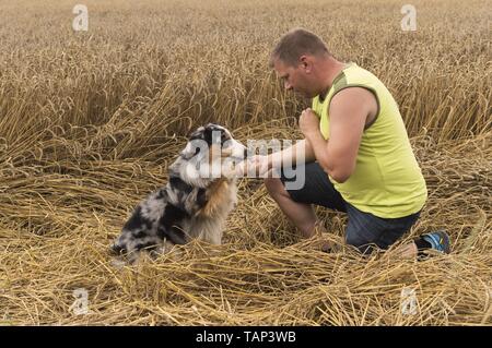 Mann und Australian Shepherd Stockfoto