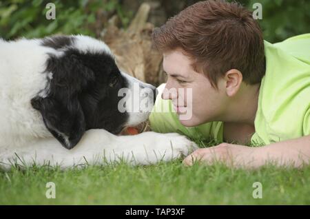 Frau und Landseer Welpen Stockfoto